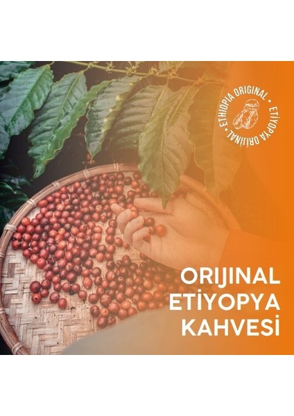 Coffee Etiyopya Sidamo 250 Gr. Çekirdek, Filtre, Espresso Kahve