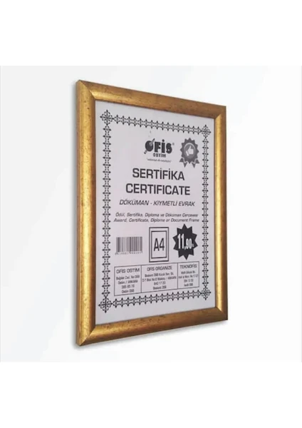 As Ticaret 21X30 A4 Fotoğraf Belge Resim Çerçevesi Sertifika Pvc Camlı