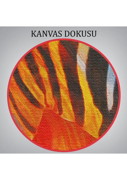 Renkli Zebra Yağlıboya Görünüm Dekoratif Kanvas Duvar Tablosu-5843