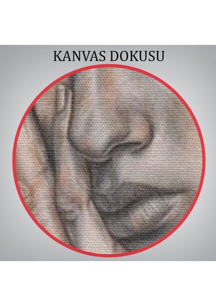 Gerçeküstü Kadın Ve Balık Kanvas Duvar Sanatı, Yeni Nesil Kanvas Ablo-5230