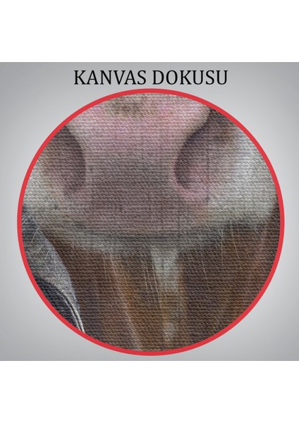 Inek Kafalı Insan Kanvas TABLO-4997