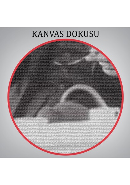 Atatürk Portre Tablosu Mustafa Kemal Atatürk Dikdörtgen Dekoratif Kanvas TABLO-EZ-124
