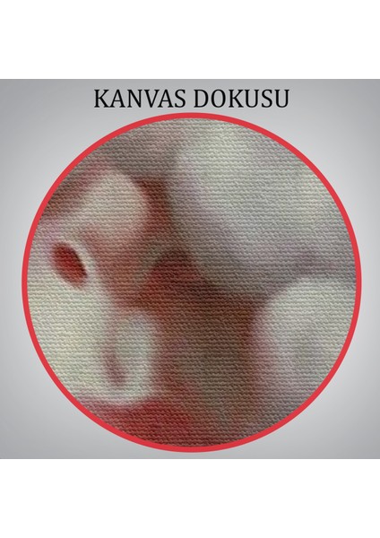 Modern Gerçeküstü Kadın Sanatı Kanvas Tablo, Pop Art Kanvastablo SANATI-5212