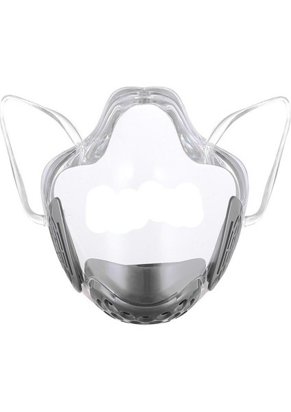 Ağız Filtreleri Gri (Yurt Dışından) fiyatları