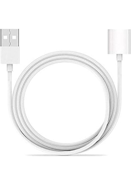Apple Pencil Uzatma Adaptör Kablo 8 Pin To USB - Beyaz AL4074