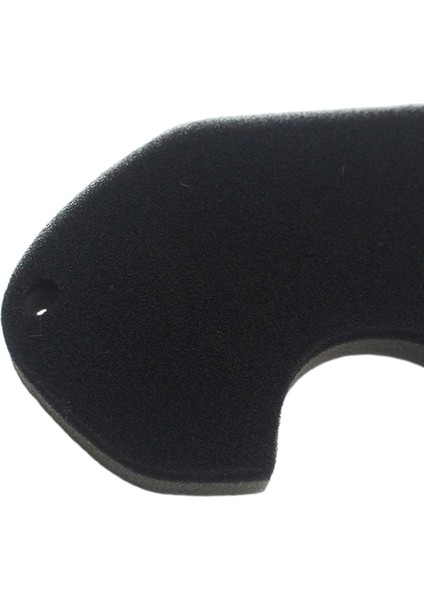 Filtresi Süngeri Temizleyici AF18 Tact AF24 50CC'YE (Yurt Dışından) fiyatları