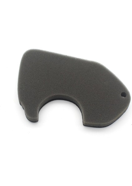 Filtresi Süngeri Temizleyici AF18 Tact AF24 50CC'YE (Yurt Dışından) modelleri