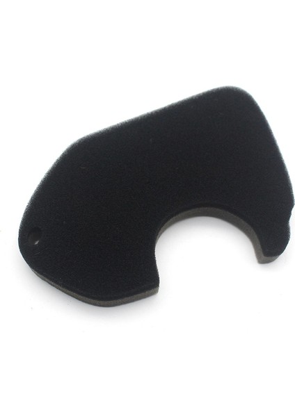 Filtresi Süngeri Temizleyici AF18 Tact AF24 50CC'YE (Yurt Dışından) indirimleri