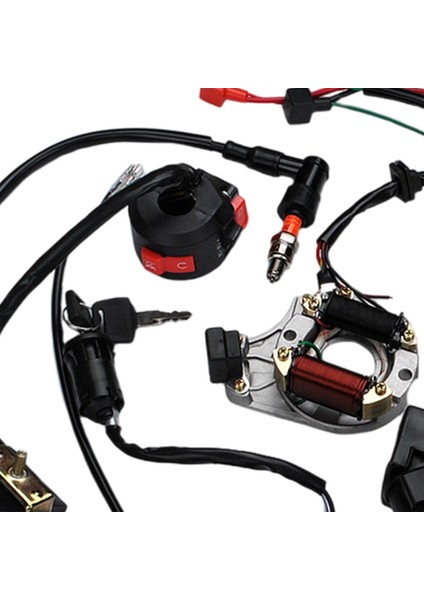 Komple Elektrik Demeti Stator Solenoid Rö Cdi (Yurt Dışından)