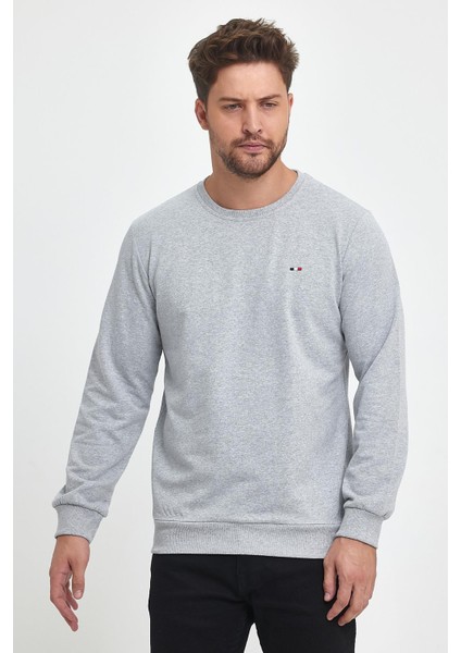 Erkek Gri Bisiklet Yaka Nakış Detaylı Regular Fit Sweatshirt