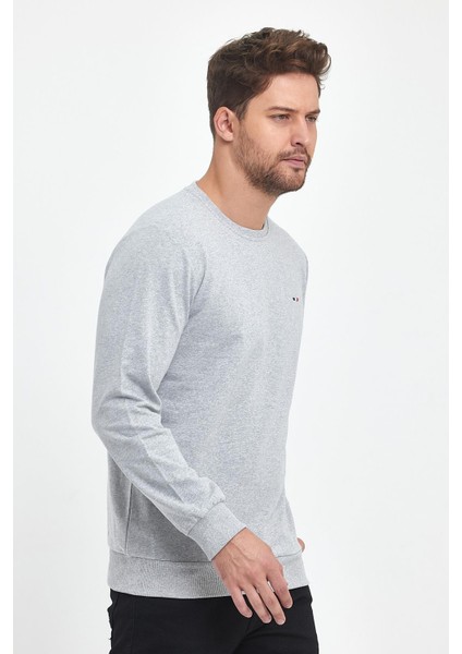 Erkek Gri Bisiklet Yaka Nakış Detaylı Regular Fit Sweatshirt