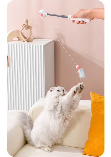 Lazer Kedi Çubuk Kedi Oyuncak (Yurt Dışından)