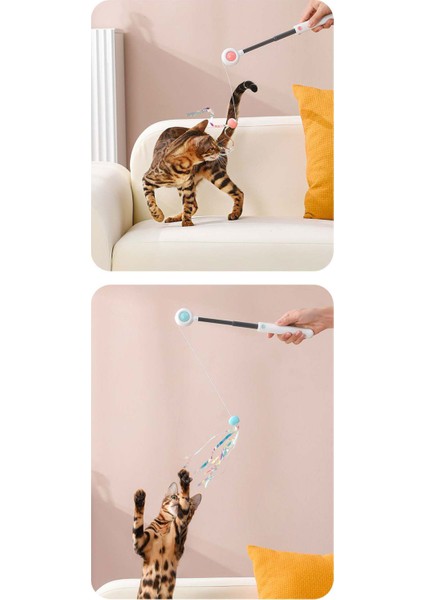 Lazer Kedi Çubuk Kedi Oyuncak (Yurt Dışından)
