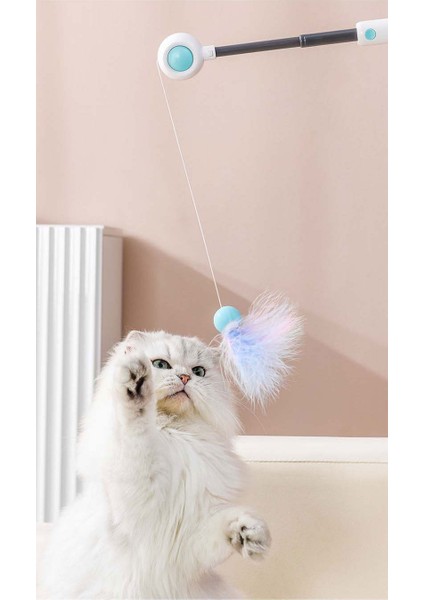 Lazer Kedi Çubuk Kedi Oyuncak (Yurt Dışından)