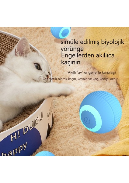 Yerçekimi Yuvarlanan Kedi Oyuncak Topu (Yurt Dışından) modelleri