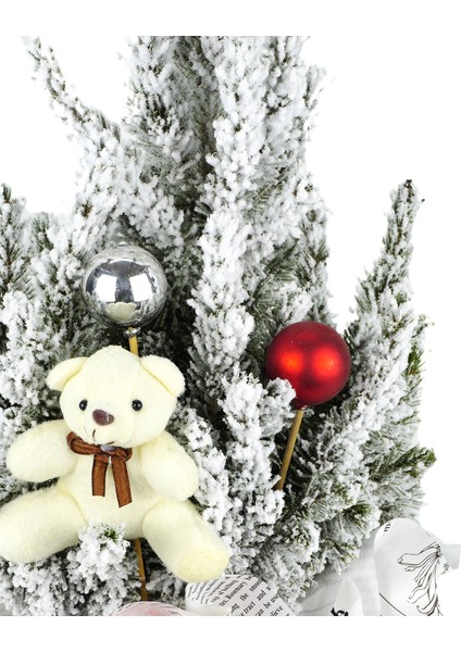 Yılbaşı Ağacı Pinus fiyatları