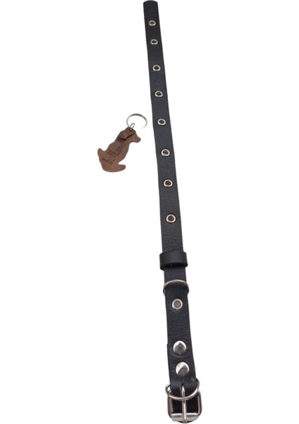 Köpek boyun tasması hakiki deri siyah zımbalı genişlik:2cm kalınlık:4mm boyun ölçüsü:20-42cm ayarlamalı dog collar T1-13