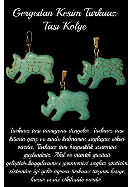 Sertifikalı Gergedan Kesim Firuze Taşı Kolye - Aaa+Kalite modelleri