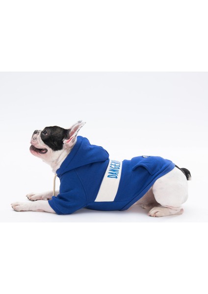 Mavi Cute Köpek Hoodie Köpek Sweat Köpek Kıyafeti Kedi Kıyafeti -Xl