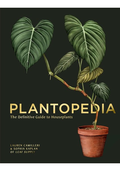 Plantopedia: The Leaf Supply Guide To House Plants - Lauren Camilleri