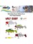 Sazan Silikonu 8 cm Wily Goby 5 Li Paket Halinde Renk:4 1