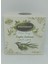 Zeytin Sabunu 125 gr 1