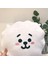 30 cm Kpop Bts Bangtan BT21 Yastık Bebek Yastık Peluş Oyuncak, G (Yurt Dışından) 5