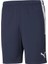 TEAMLIGA25 Kamp Şort 657249-06 1