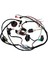 Komple Elektrik Demeti Stator Solenoid Rö Cdi (Yurt Dışından) 1