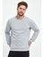 Erkek Gri Bisiklet Yaka Nakış Detaylı Regular Fit Sweatshirt 3