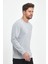 Erkek Gri Bisiklet Yaka Nakış Detaylı Regular Fit Sweatshirt 4