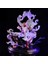 One Piece Gear 5 Güneş Tanrısı Luffy Karakter Modeli 20CM (Yurt Dışından) 2