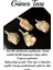 Sertifikalı Tel Sargılı Ham Herkimer Elması Kuvars Taşı Kolye - Herkimer Diamond 2