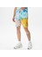 Fruit Stickers Loose VN0007XQBR41.- 3