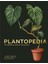 Plantopedia: The Leaf Supply Guide To House Plants - Lauren Camilleri 1