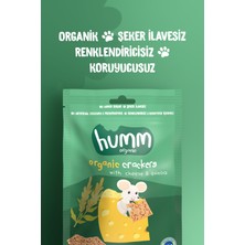 Humm Organic - Organik Peynirli ve Kinoalı Kraker Atıştırmalık Paketi - 6 Adet