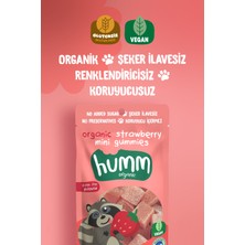 Humm Organic - Organik Glutensiz Vegan Çilekli Mini Küpler Atıştırmalık Paketi - 6 Adet