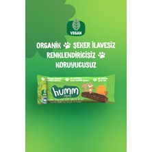 Humm Organic - Organik Vegan Kayısılı ve Fındıklı Yulaf Bar Atıştırmalık Paketi - 12 Adet