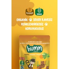 Humm Organic - Organik Glutensiz Vegan Muzlu Kek - 30g