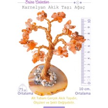 Tesbih Atölyesi Sertifikalı Gerçek Karnelyan - Karneol Akik Taşı Ağaç - Akik Plakalı