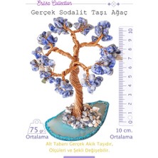 Tesbih Atölyesi Sertifikalı Gerçek Sodalit Taşı Ağaç - Akik Plakalı