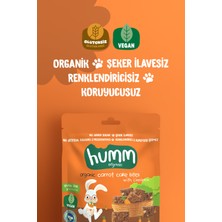 Humm Organic - Organik Glutensiz Vegan Havuçlu ve Tarçınlı Kek Atıştırmalık Paketi - 3 Adet