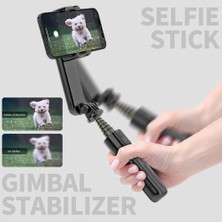 Ganbao Siyah Kablosuz Bluetooth Selfie Sopa Tripod El Gimbal Sabitleyici Dolgu Işığı ile Cep Telefonu Gimbal Sabitleyici (Yurt Dışından)