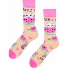 Limmon Store Karpuzfect Renkli Çorap