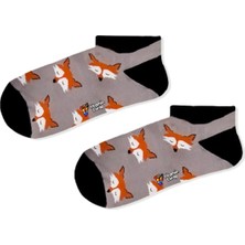 Limmon Store Tilki Gri Patik Renkli Çorap