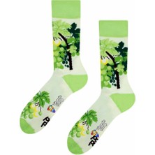 Limmon Store Üzümler Renkli Çorap