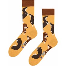 Limmon Store Dogs Renkli Çorap