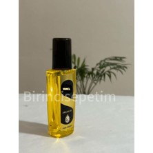 Vancl Argan  Yağlı Saç Bakım Seti 3 Boyutlu Saç Fırçası Nas.ıta Argan Yağlı Saç Bakım Yağı Serum 100 ml