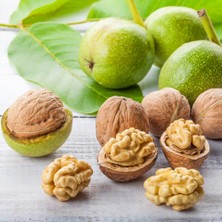 Fidan Sepetim 5 Adet Aşılı Chandler Ceviz Fidanı Paketi (Açık Kök) XL Boy 200cm