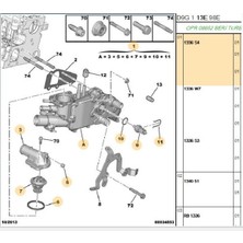 Psa Termostat 307 406 607 Partner C4 C5 Xsara Berlingo DW10 (1336S4)